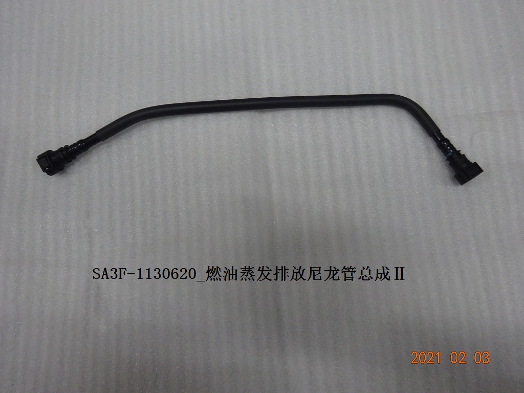 Fuel Evaporative Emission Nylon Pipe Assembly II