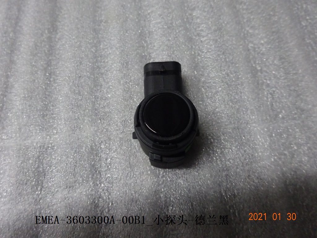 Small probe-Delan Black