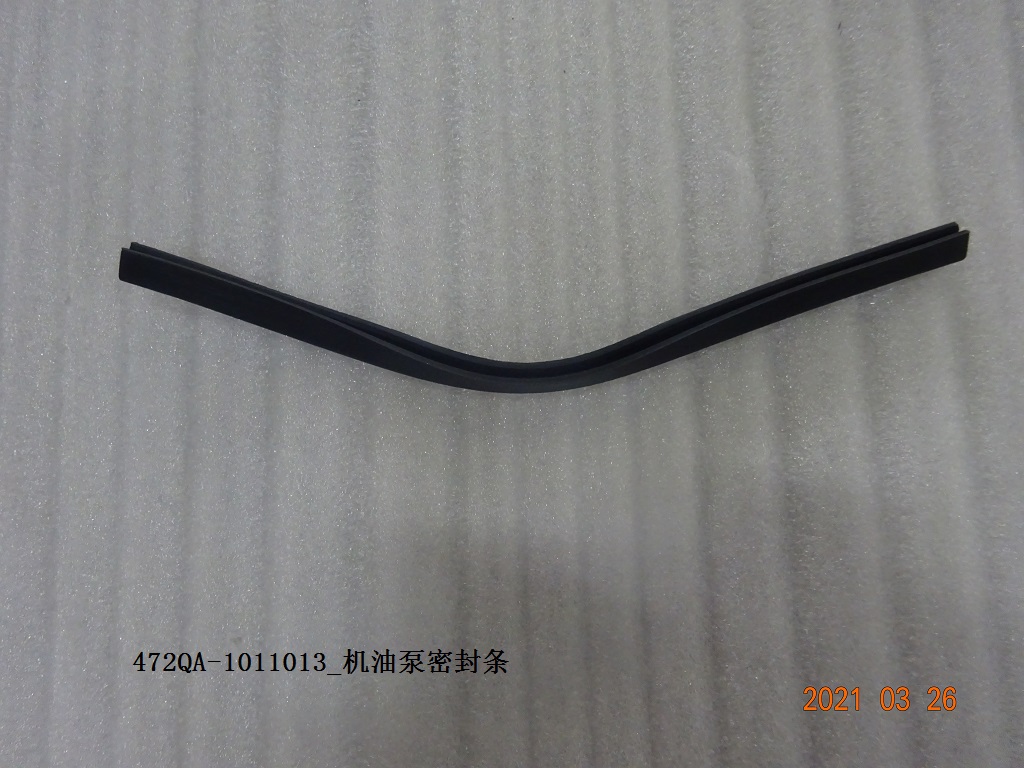 Oil Pump Seal Strip