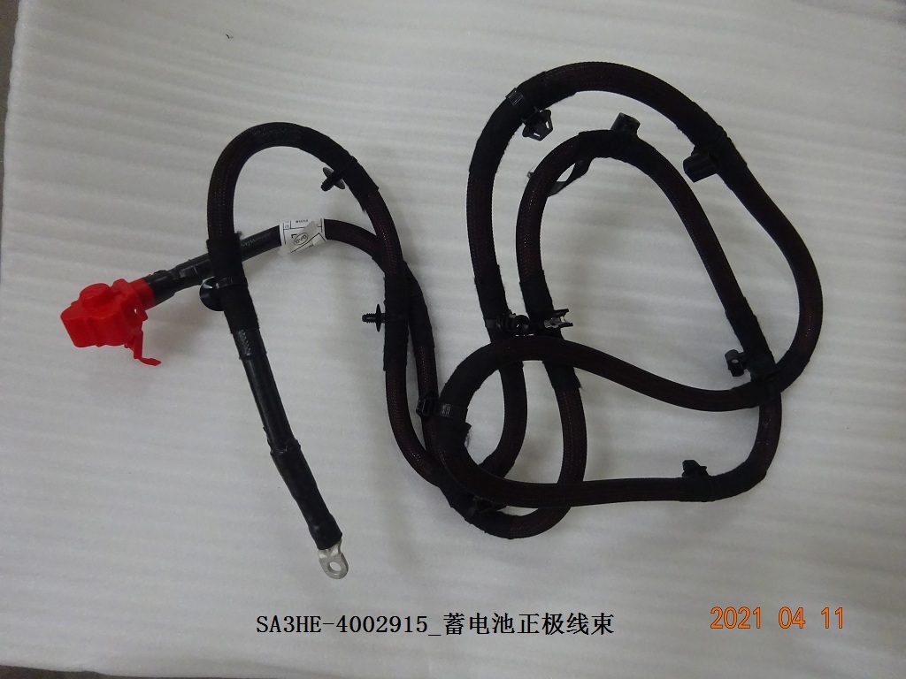Battery Positive Wiring Harness