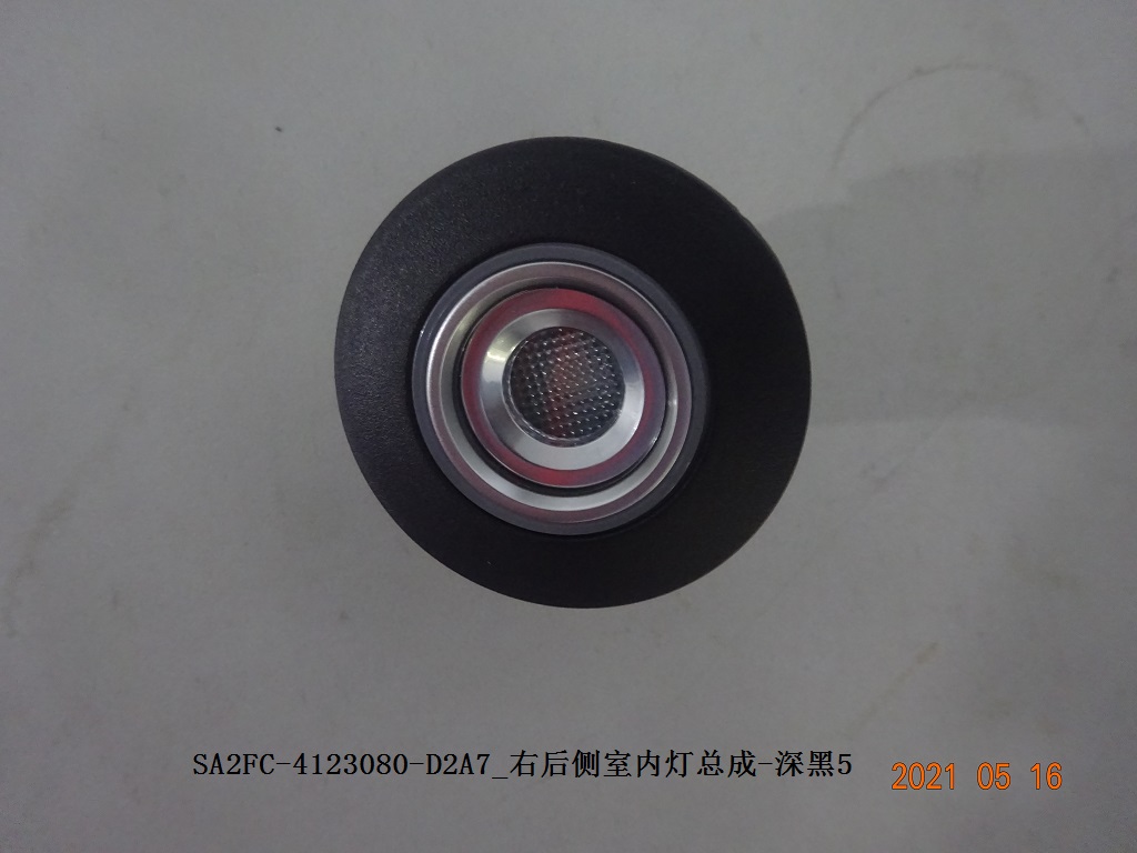 Rear Right Interior Lamp Assembly - Deep Black 5