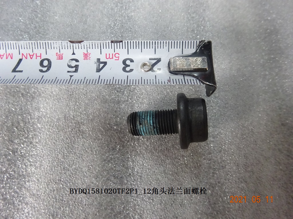 BYDQ1581020TF2P1 12-Point Flange Bolt