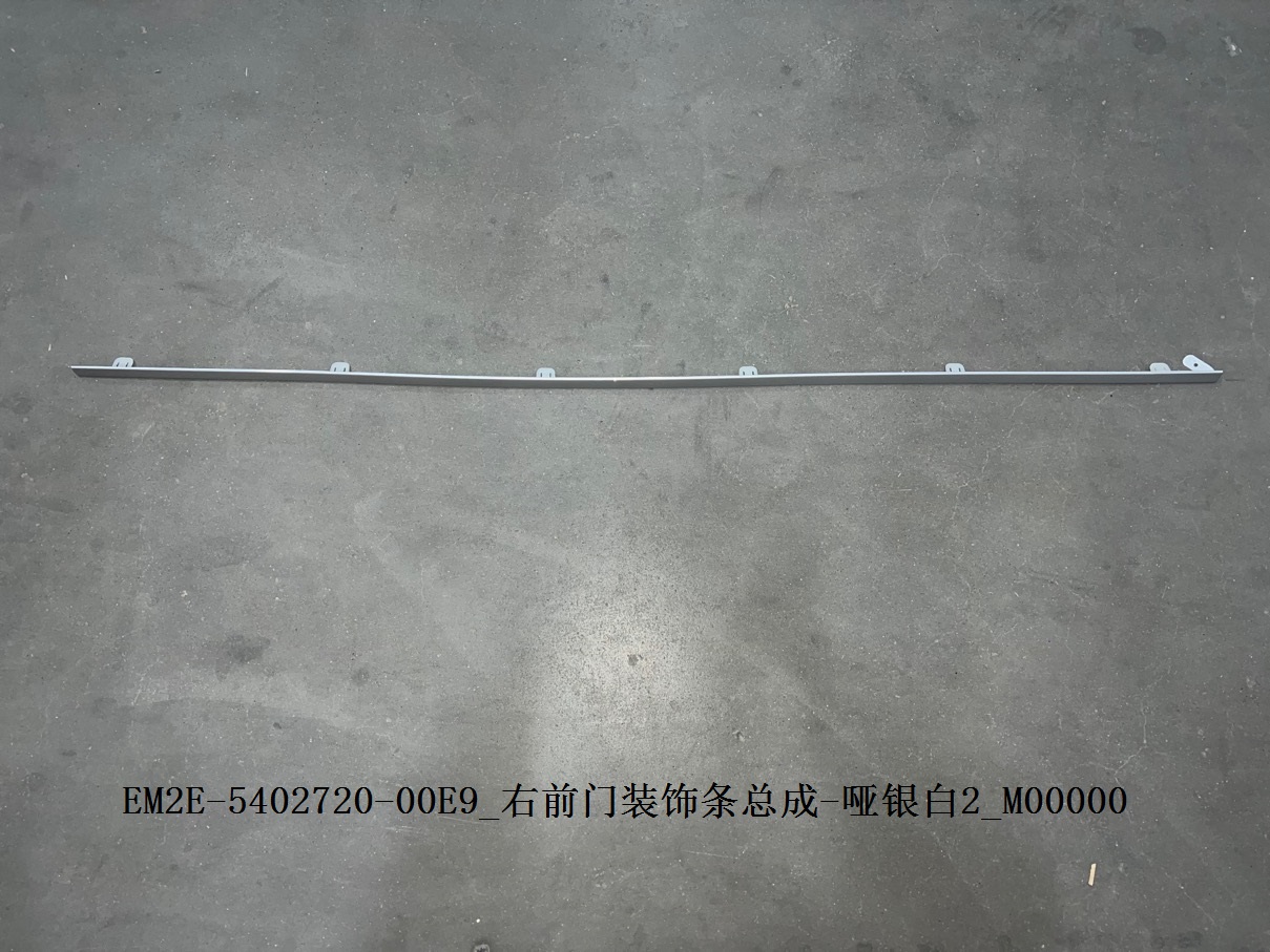 Right Front Door Trim Strip Assembly - Matte Silver White 2