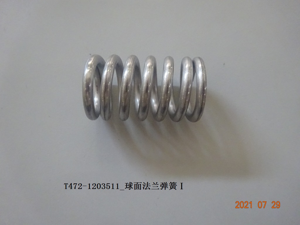 Spherical Flange Spring Ⅰ