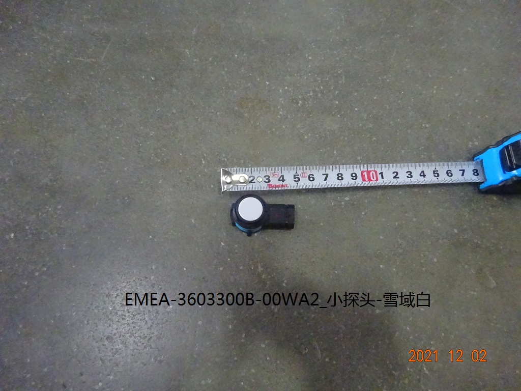Small probe - Snowfield White