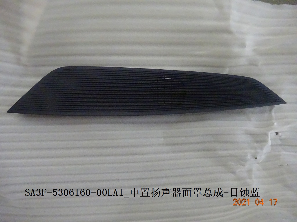 Center Speaker Grille Assembly - Eclipse Blue