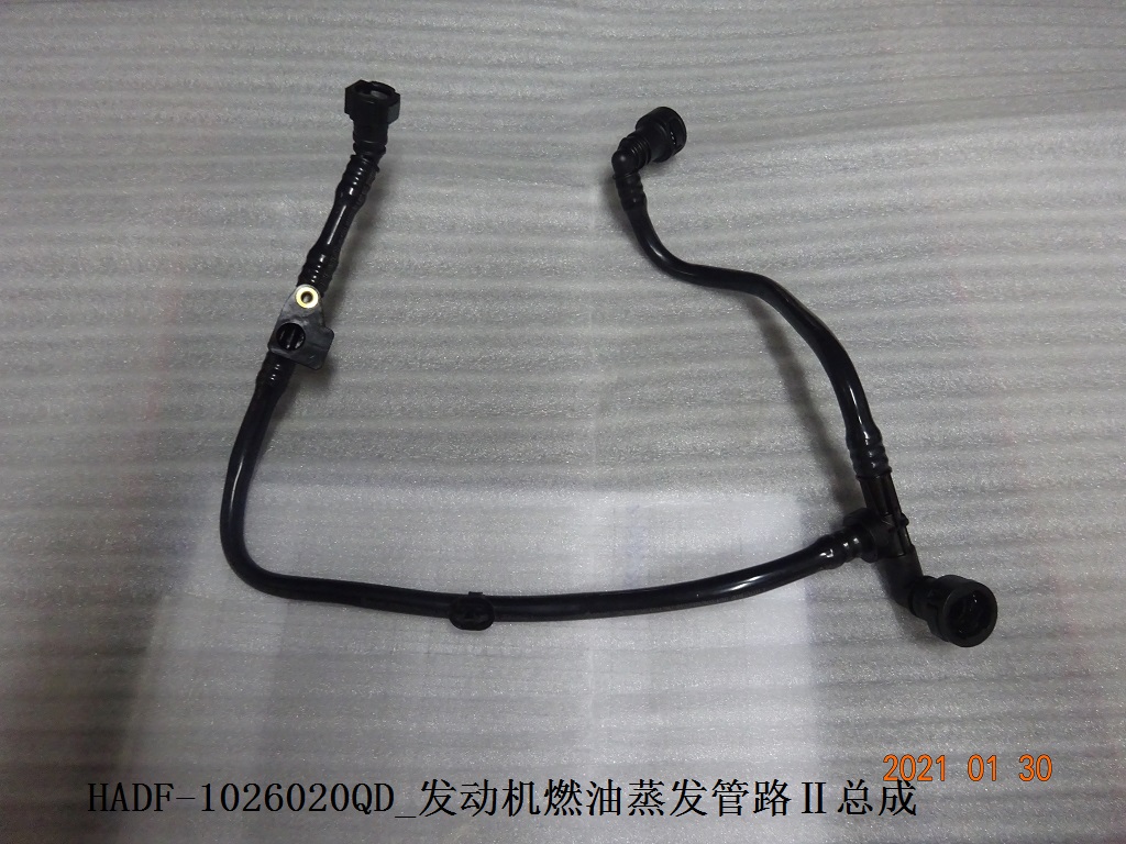 Engine Fuel Evaporation Pipeline II Assembly