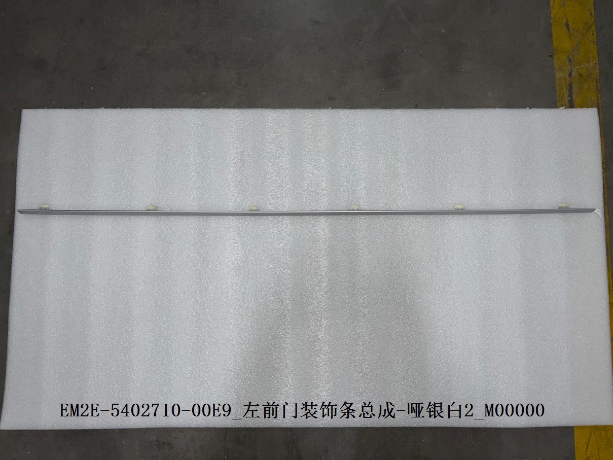 Front Left Door Trim Strip Assembly - Matte Silver White 2