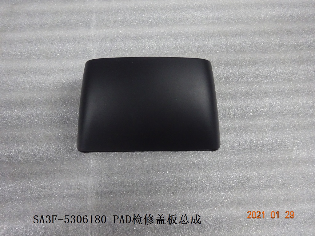 PAD Service Cover Plate Assembly