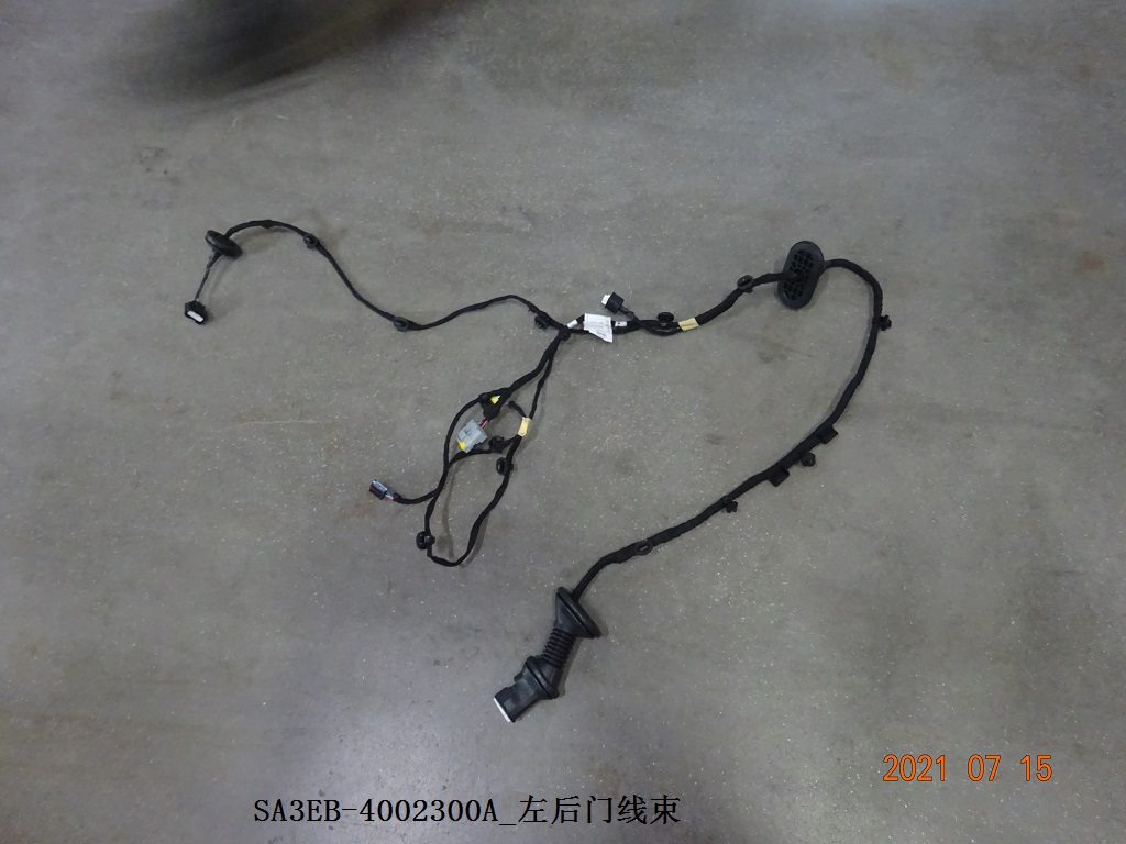 Left Rear Door Wiring Harness
