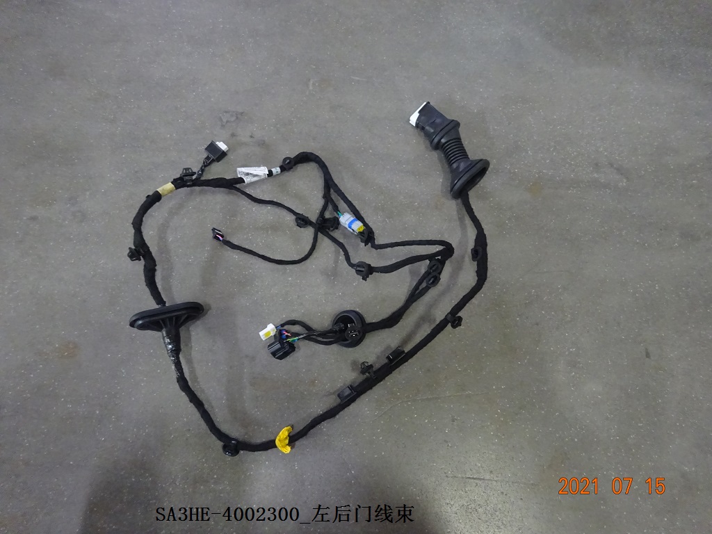 Left Rear Door Wiring Harness