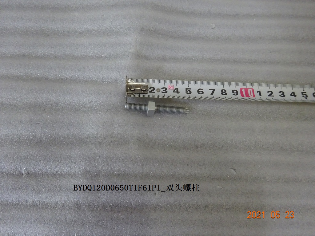 BYDQ120D0650T1F61P1_stud bolt