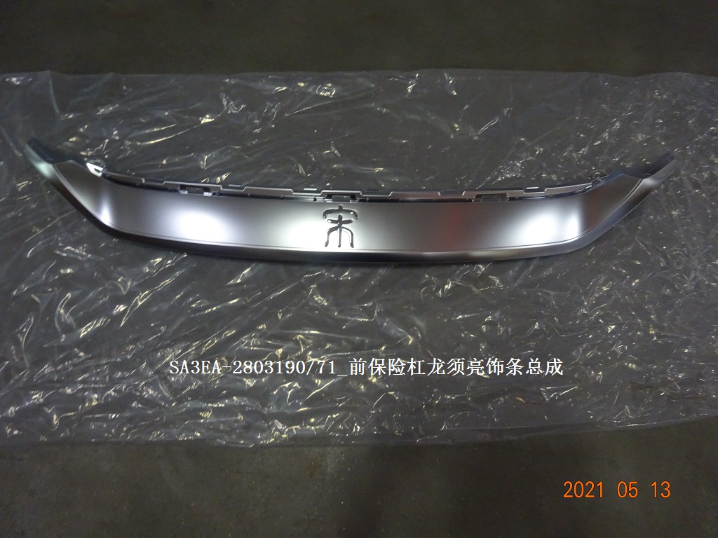 Front Bumper Whisker Bright Trim Strip Assembly