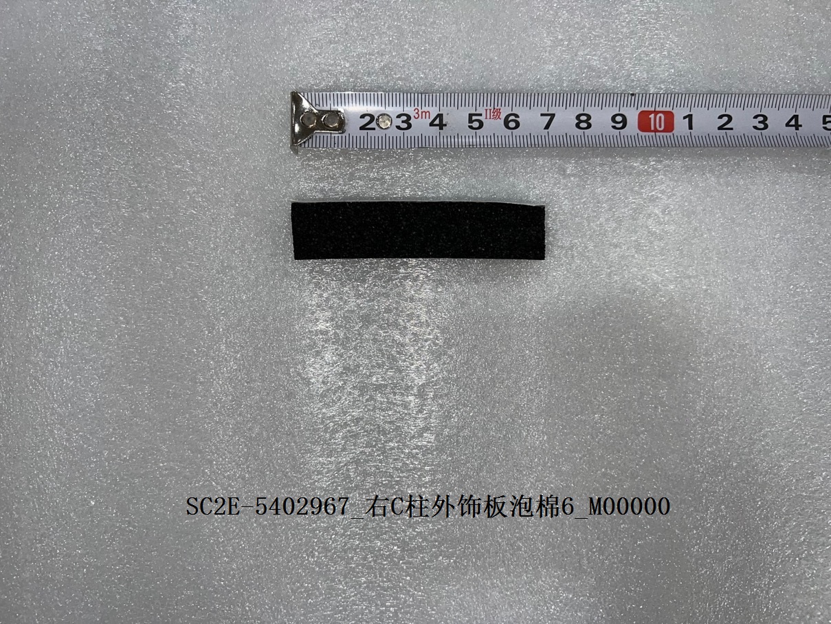 Right C-pillar Exterior Trim Panel Weatherstrip 6