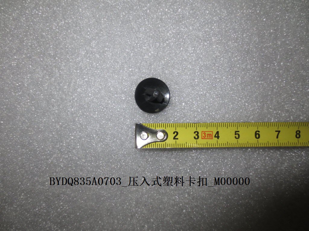 BYDQ835A0703_Push-In Plastic Clip_M00000