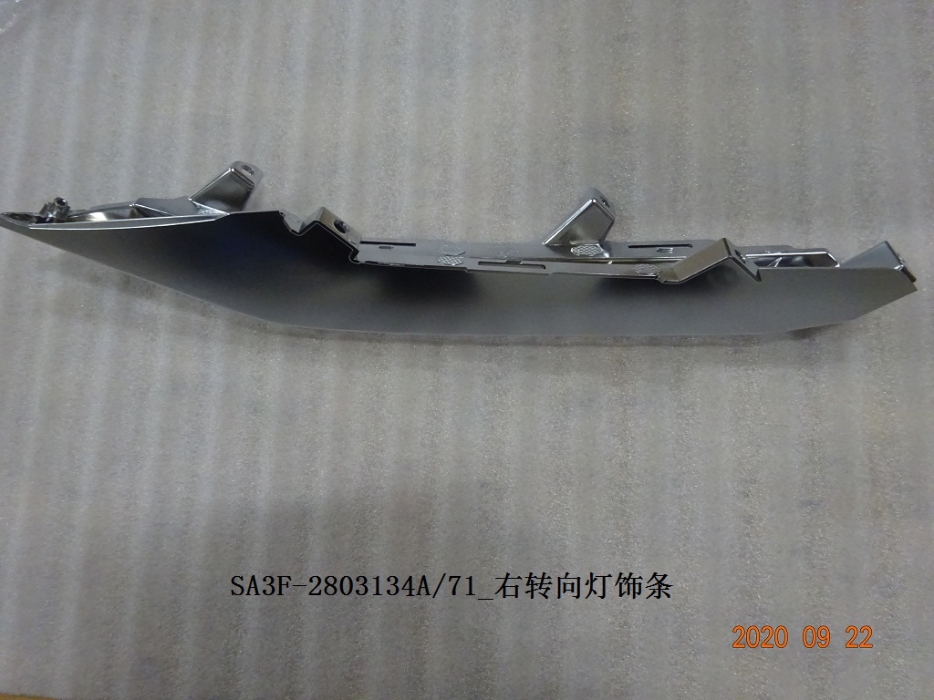Right Turn Signal Lamp Trim Strip