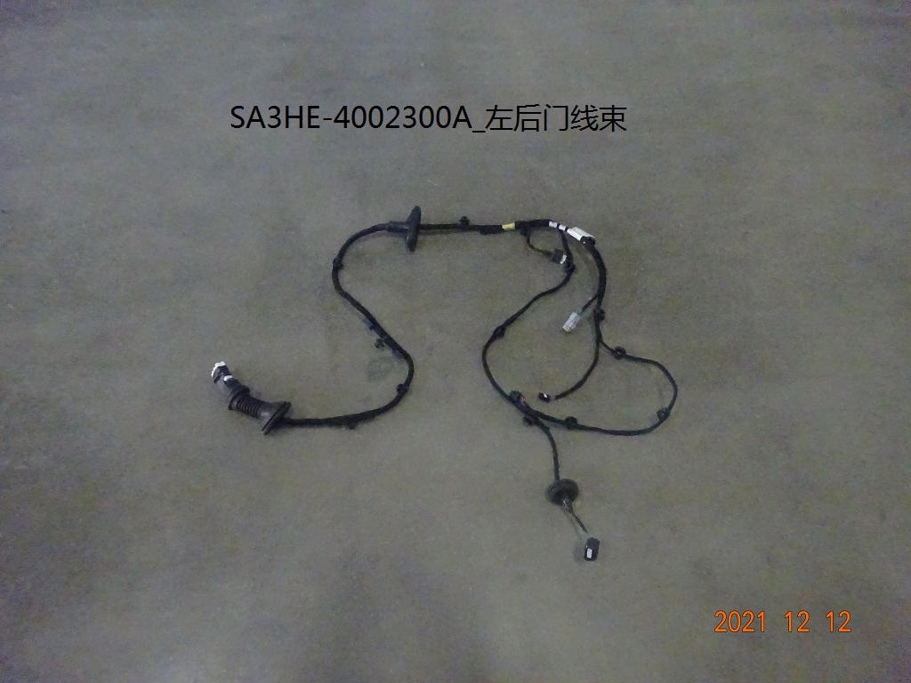 Left Rear Door Wiring Harness