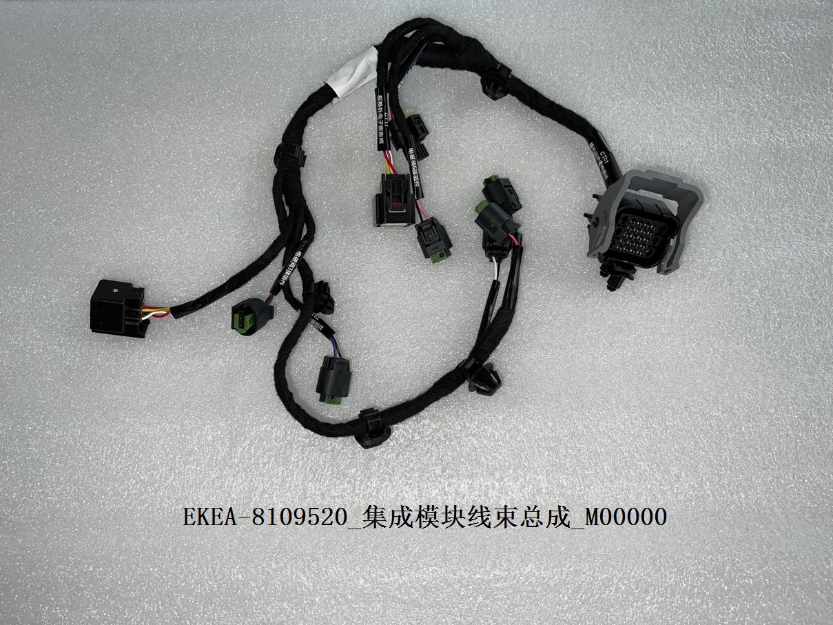 Integrated Module Wiring Harness Assembly
