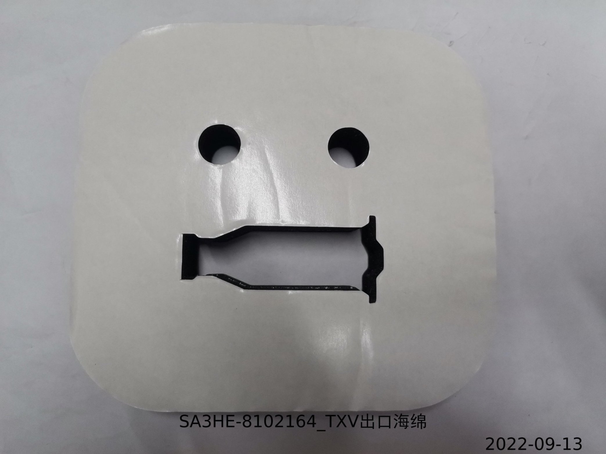 TXV Outlet Foam