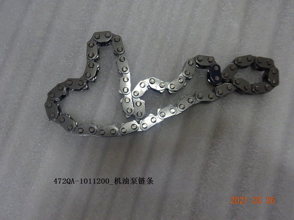 Oil Pump Chain