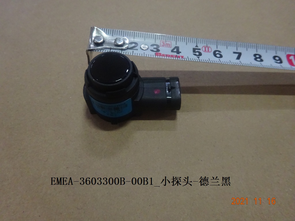 Small probe-Delan Black
