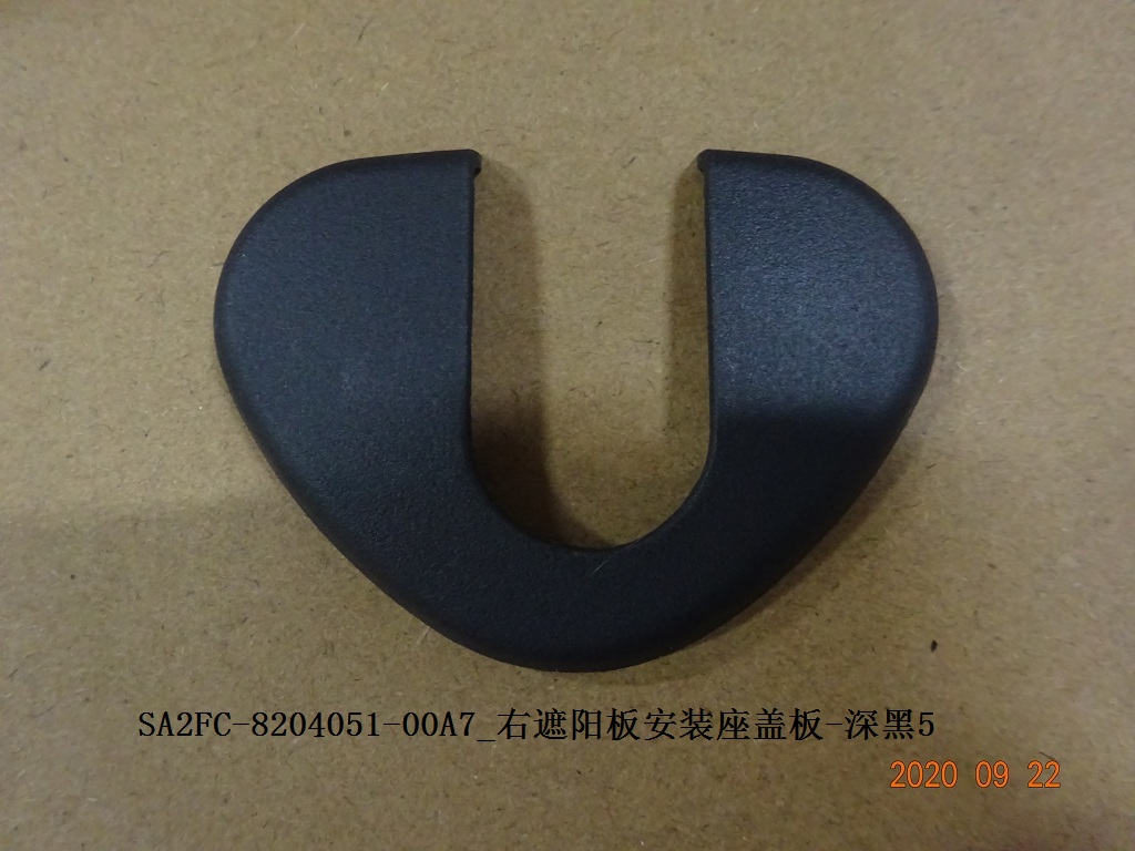 Right Sun Visor Mounting Base Cover - Dark Black 5