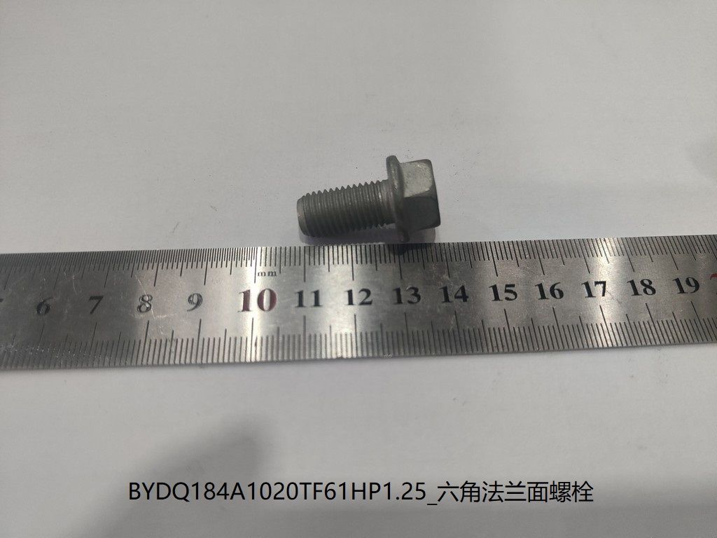 BYDQ184A1020TF61HP1.25_Hex Flange Bolt