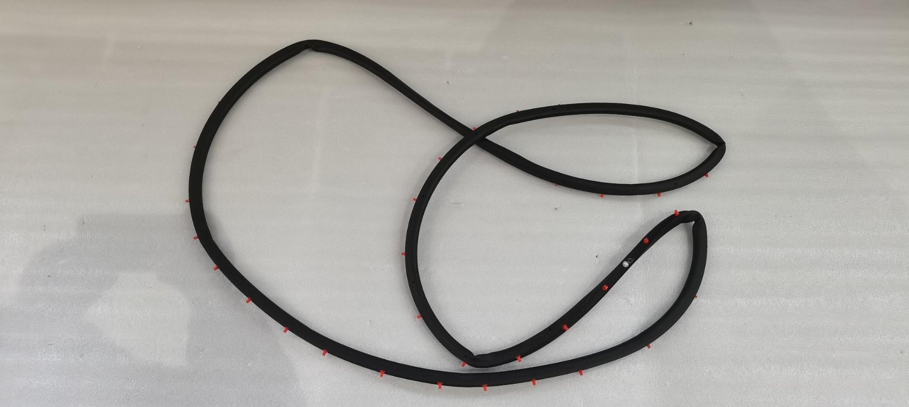 Left rear door weatherstrip