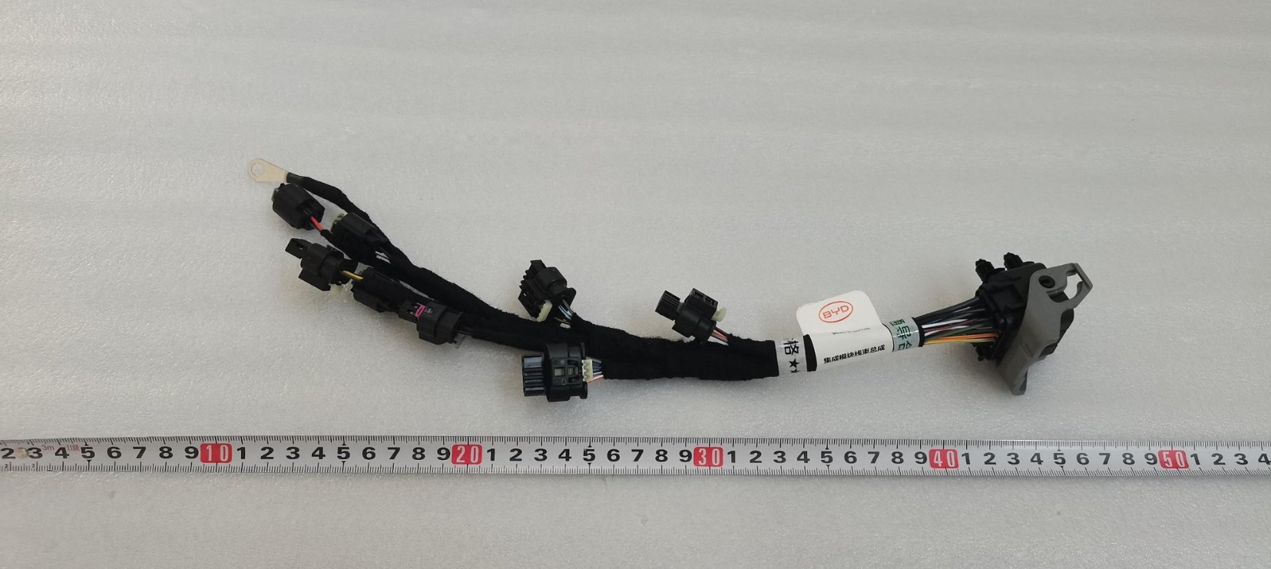 Integrated Module Wiring Harness Assembly