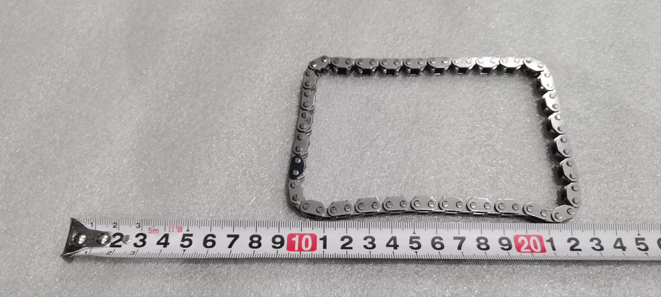 Oil Pump Chain