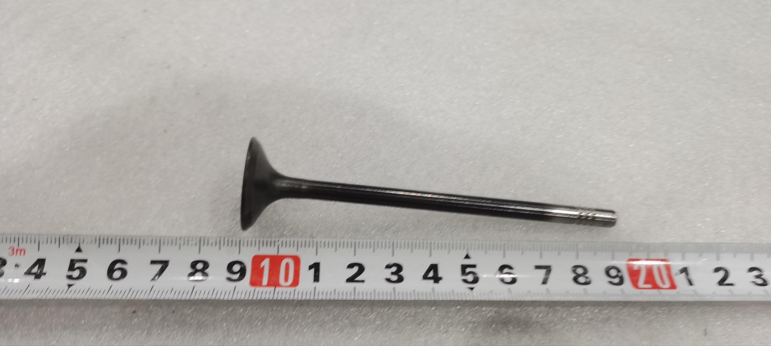 Exhaust Valve