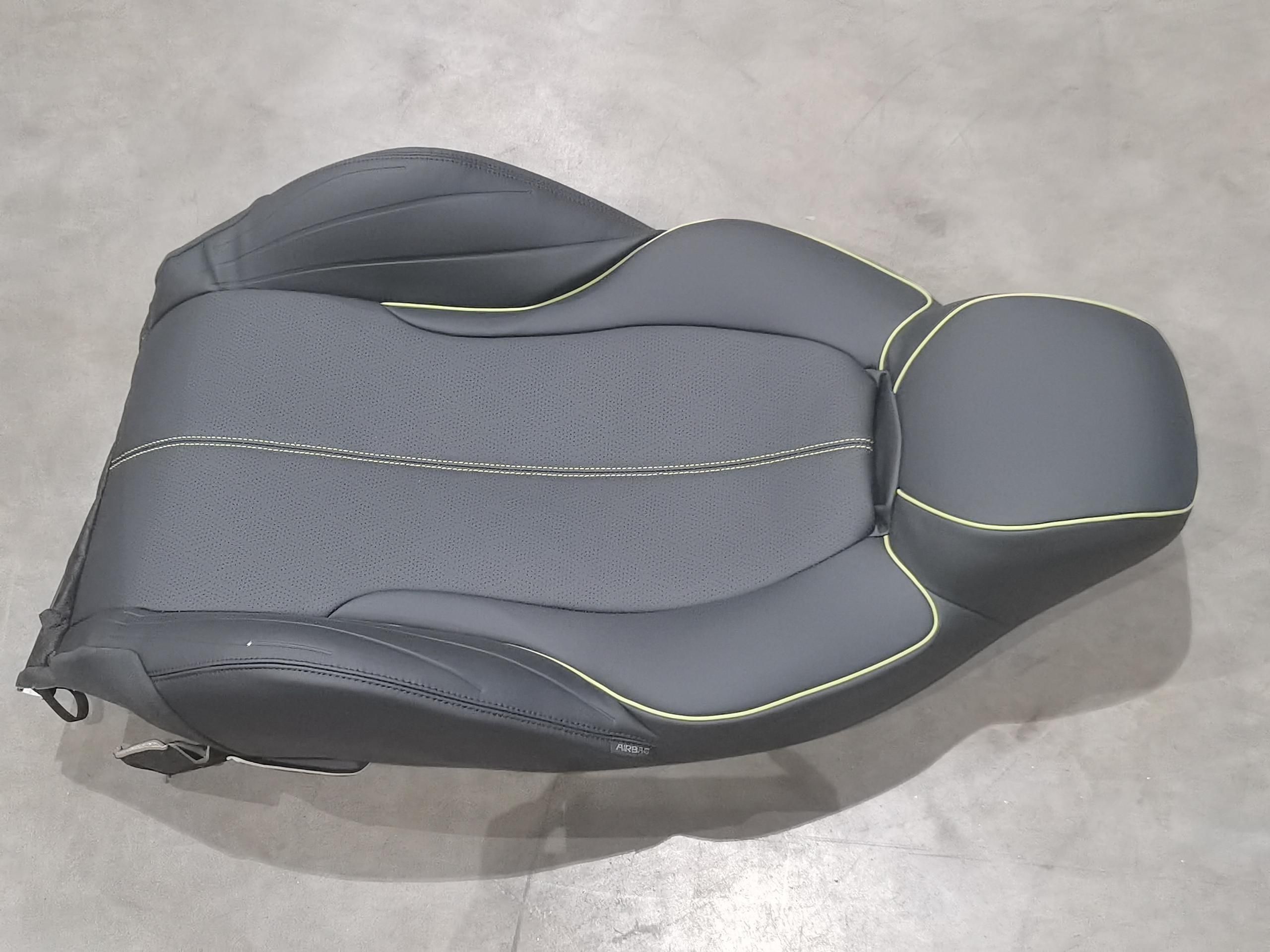 Front Passenger Seat Backrest - Spring Green