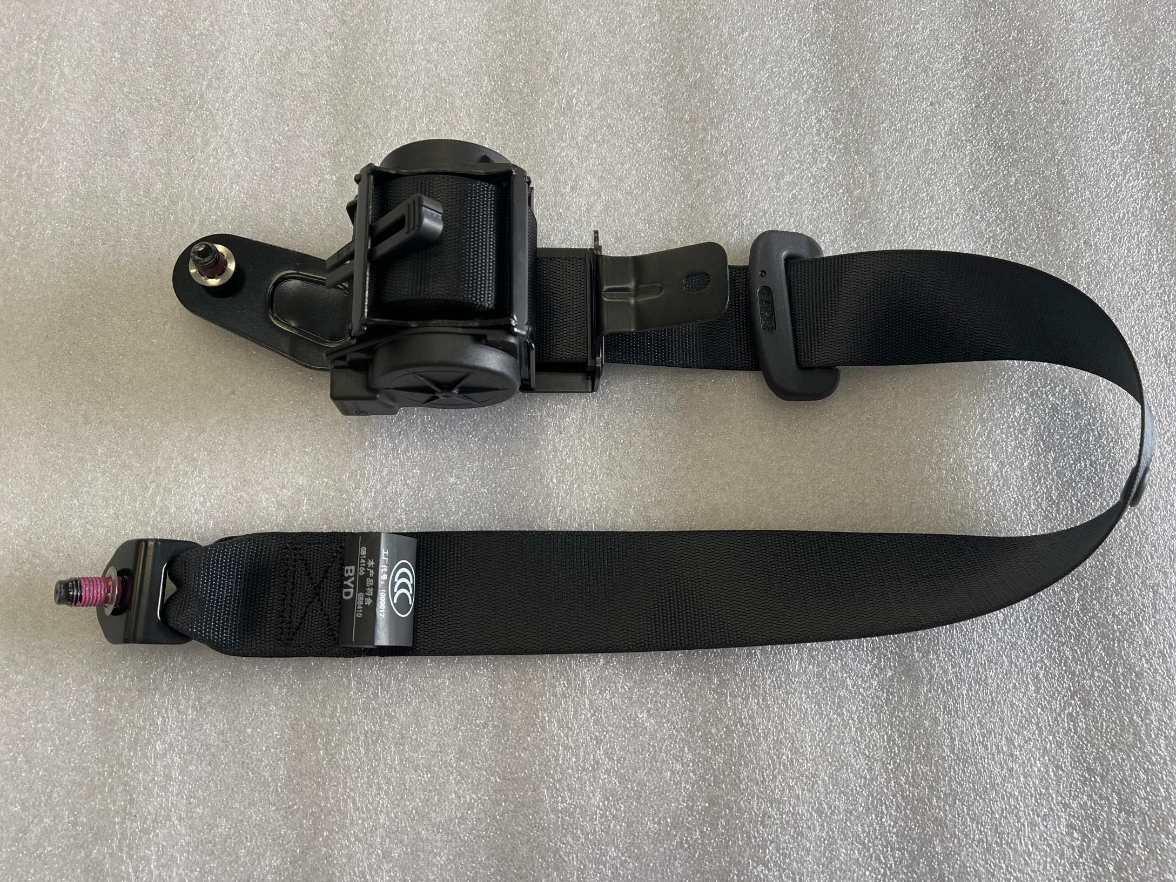 Left Rear Seat Belt Assembly