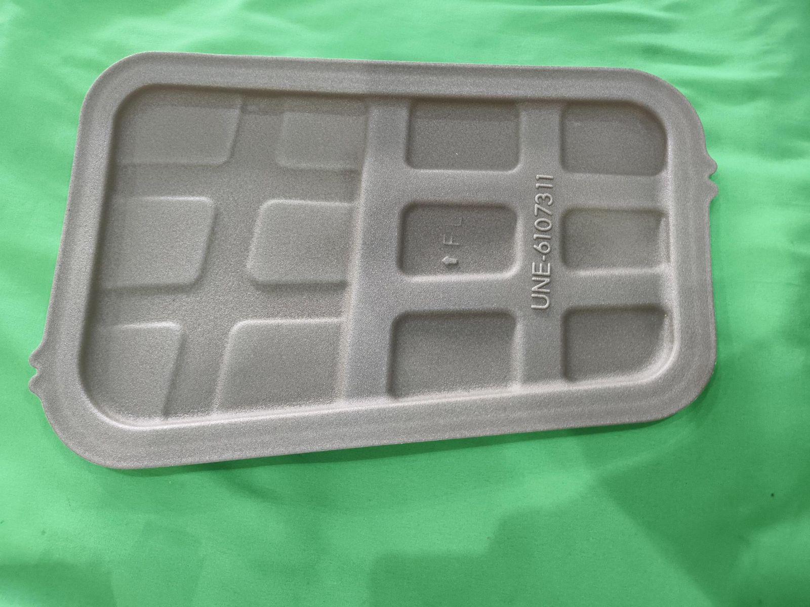 Left front door seal plug I