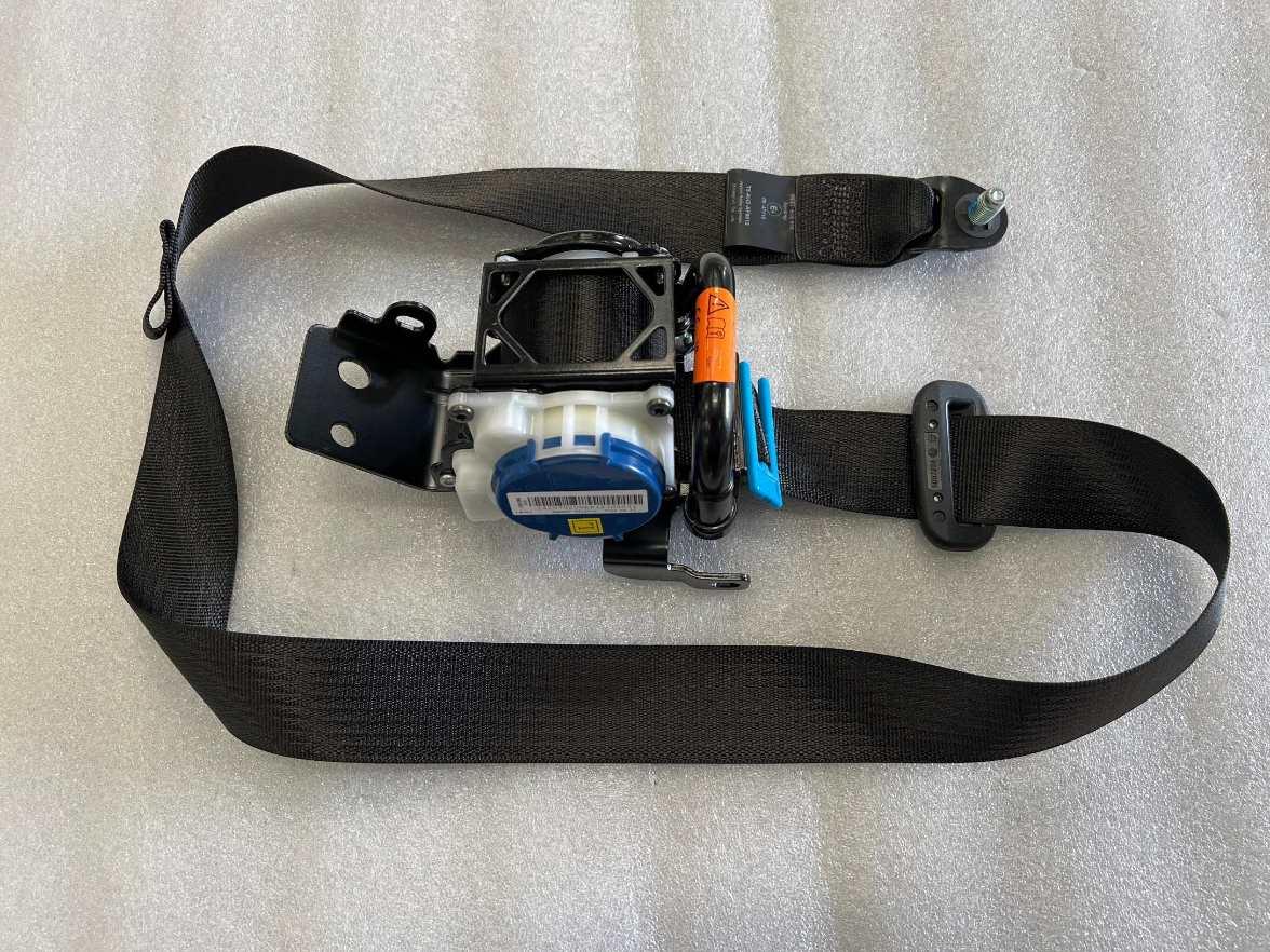Left Rear Seat Belt Assembly