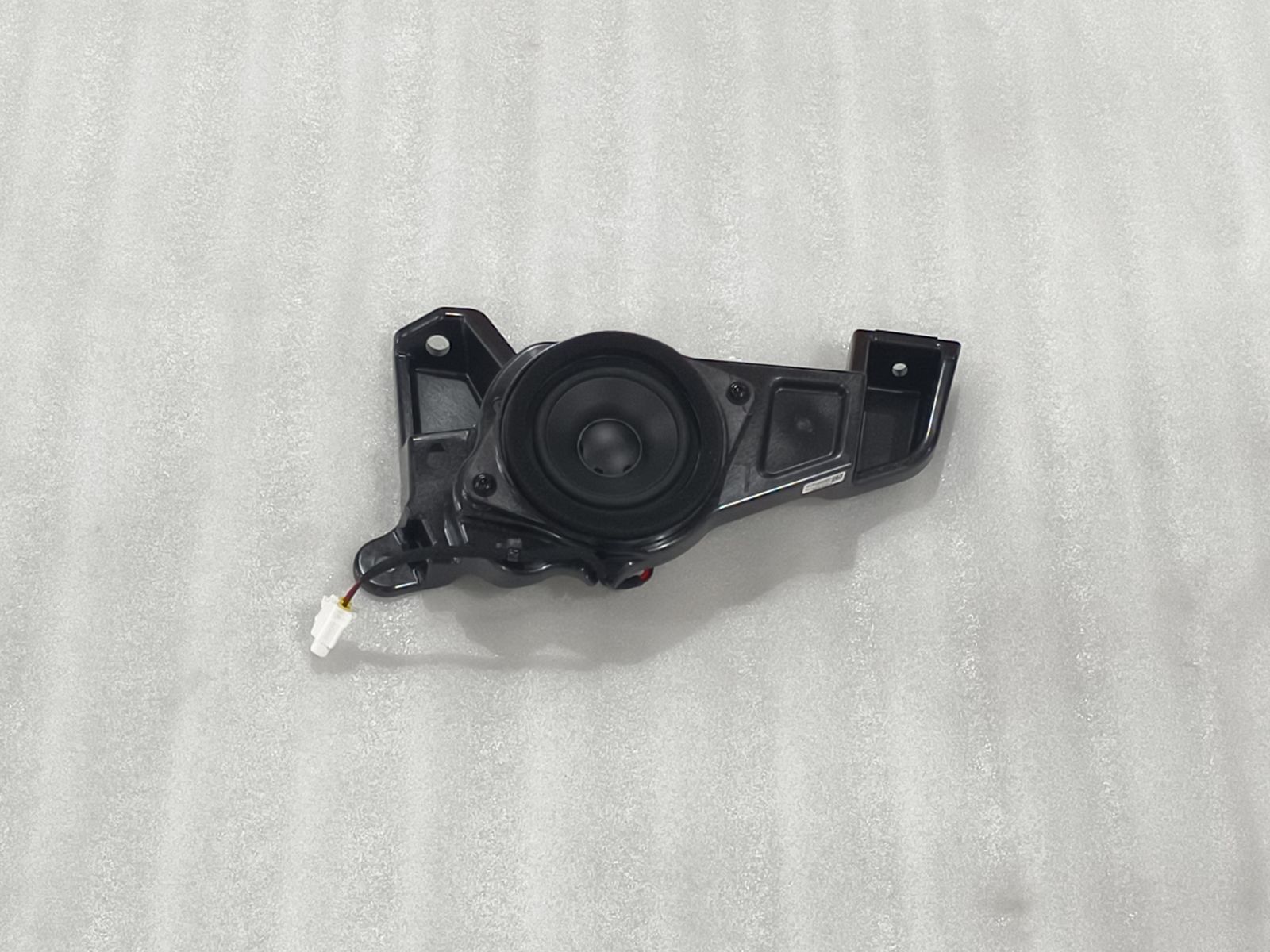 Left Surround Speaker Assembly