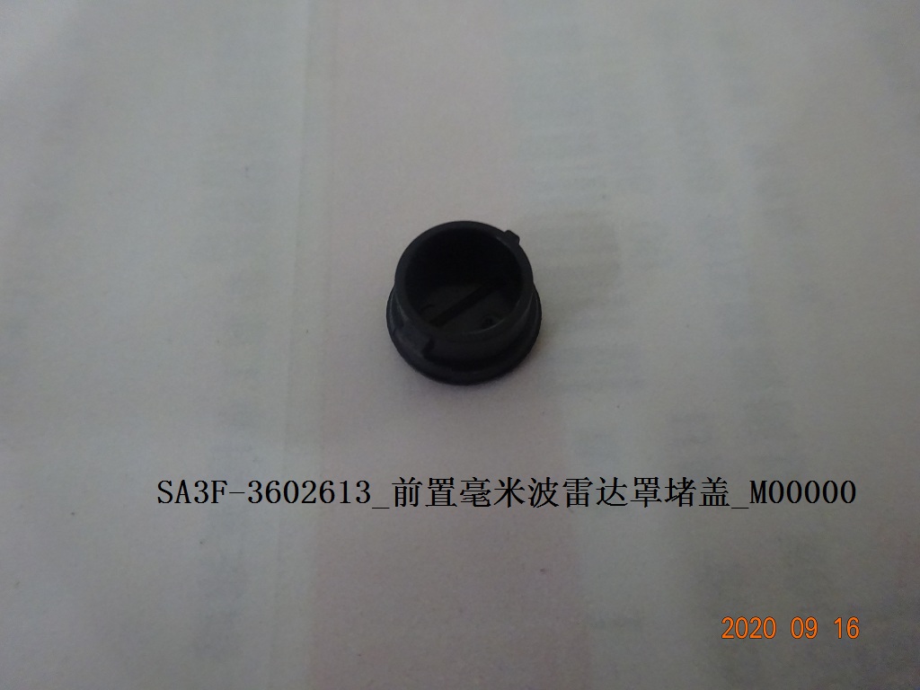 Front Millimeter-Wave Radar Cover Blanking Cap