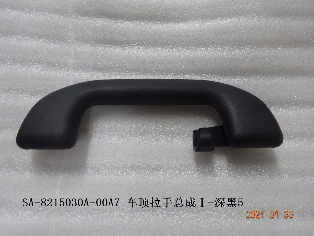 Roof Grab Handle Assembly I - Deep Black 5