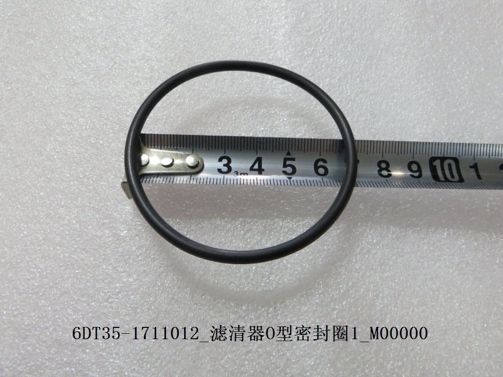 Filter O-Ring Seal 1