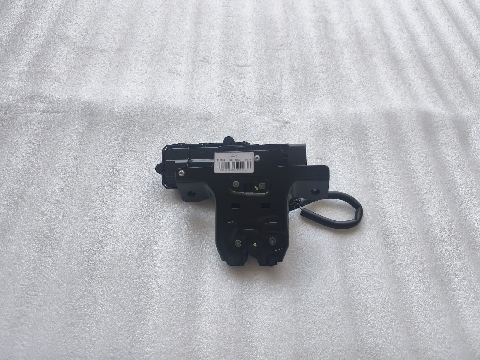 Tailgate Lock Body Assembly