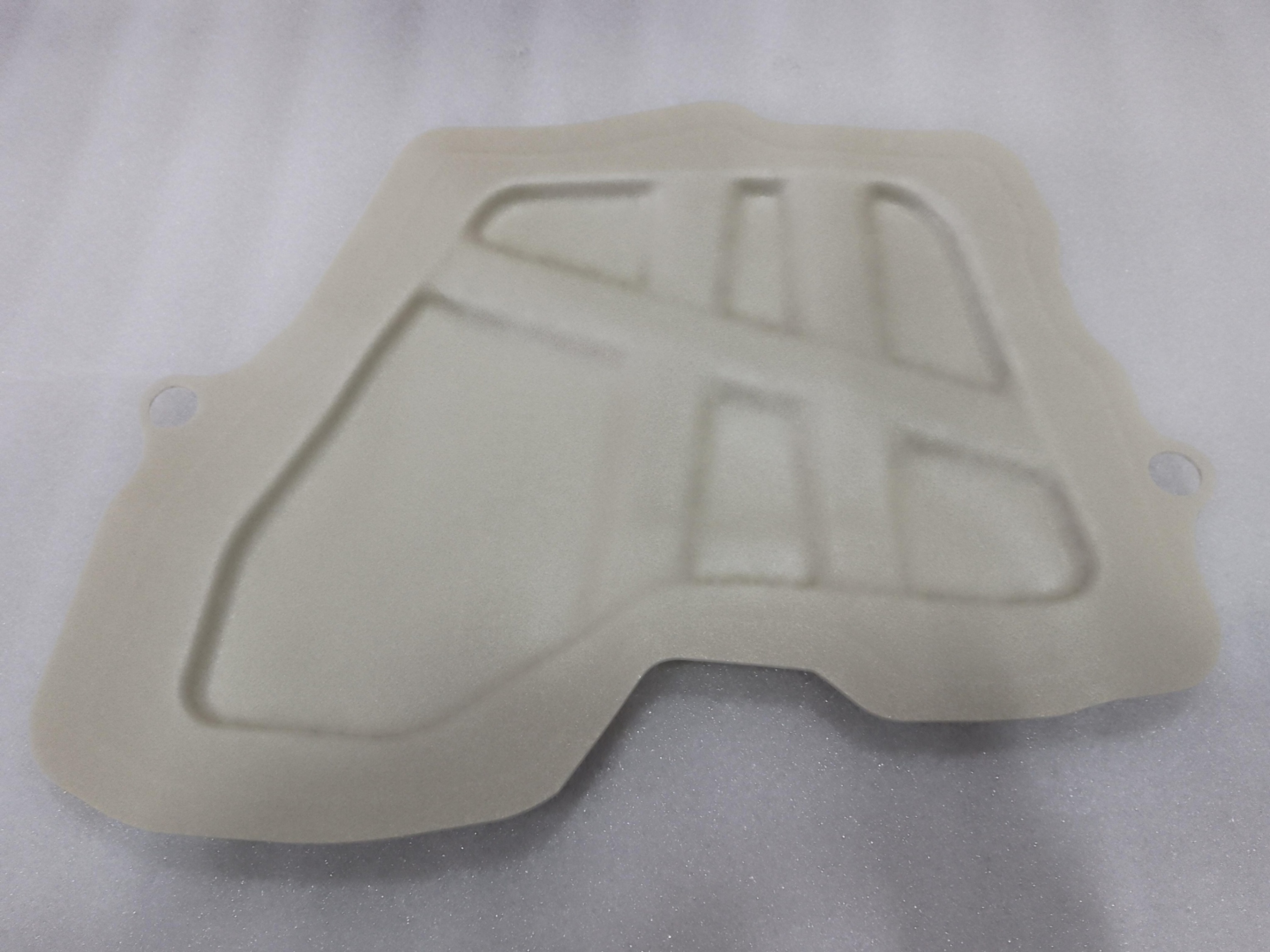 Left front door seal plug I
