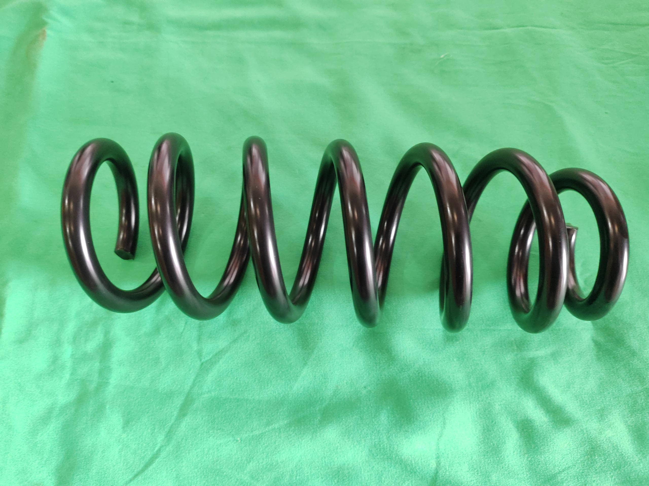 Rear Coil Spring Assembly