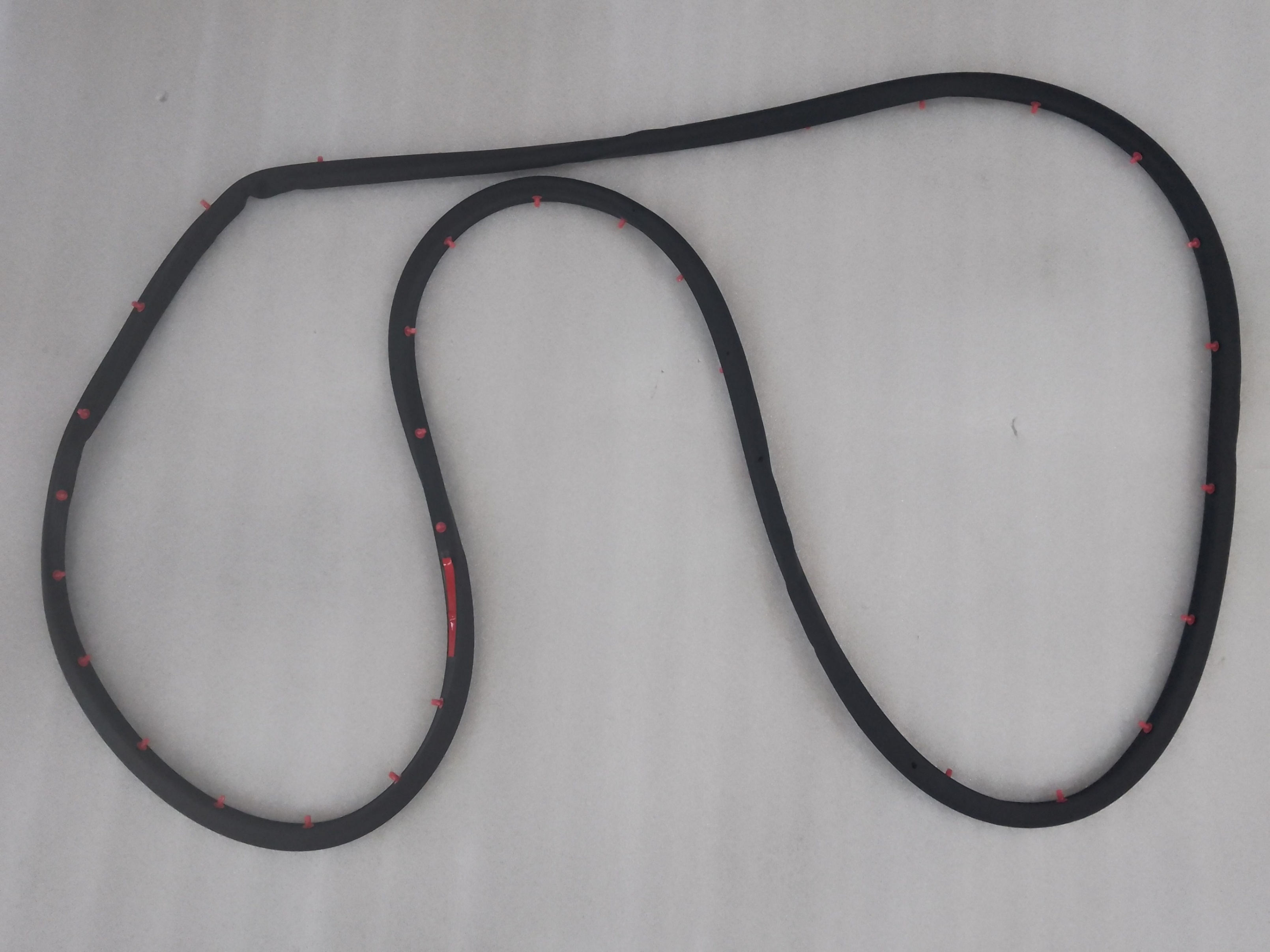 Left rear door weatherstrip