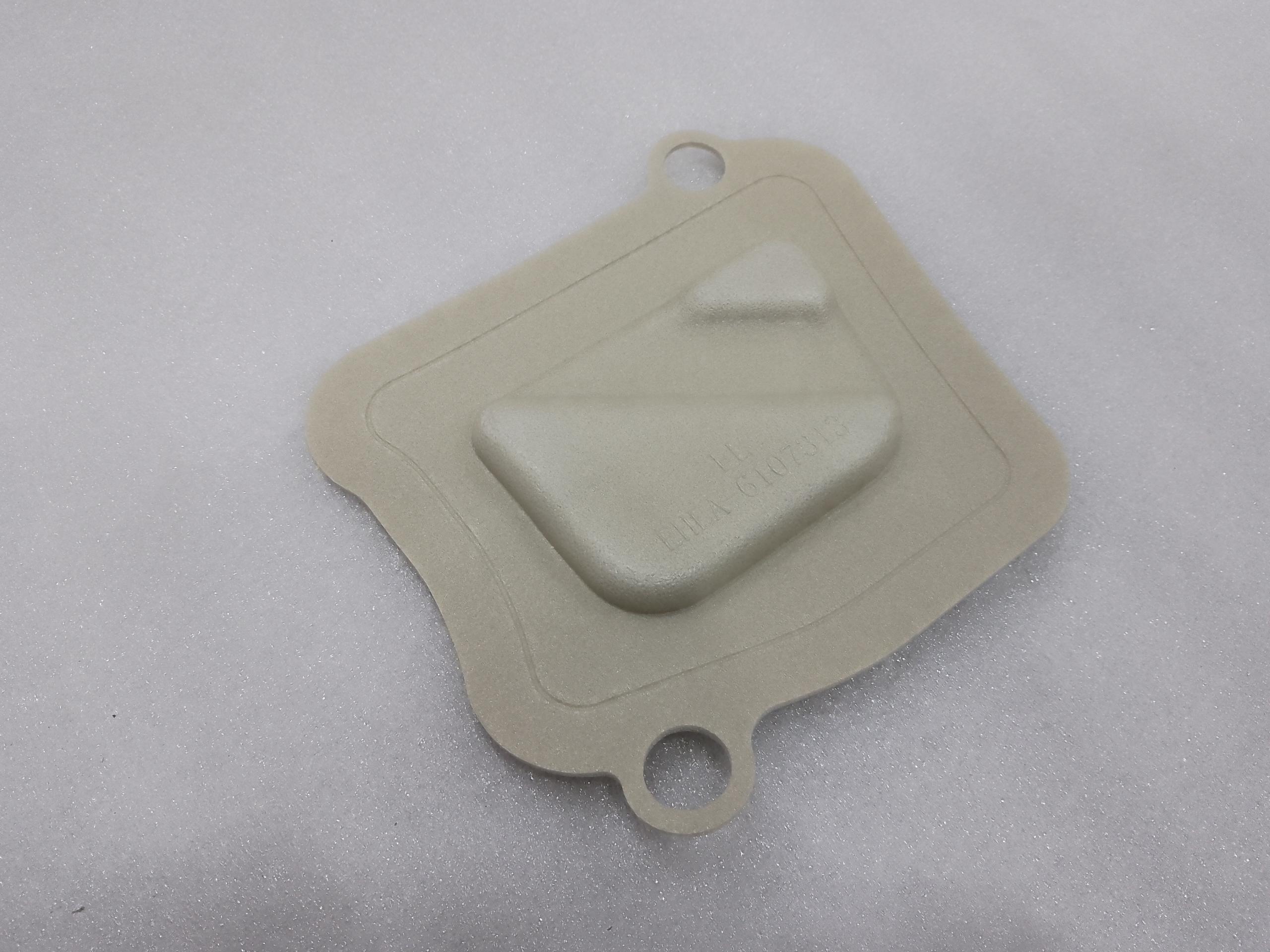 Left front door seal plug II