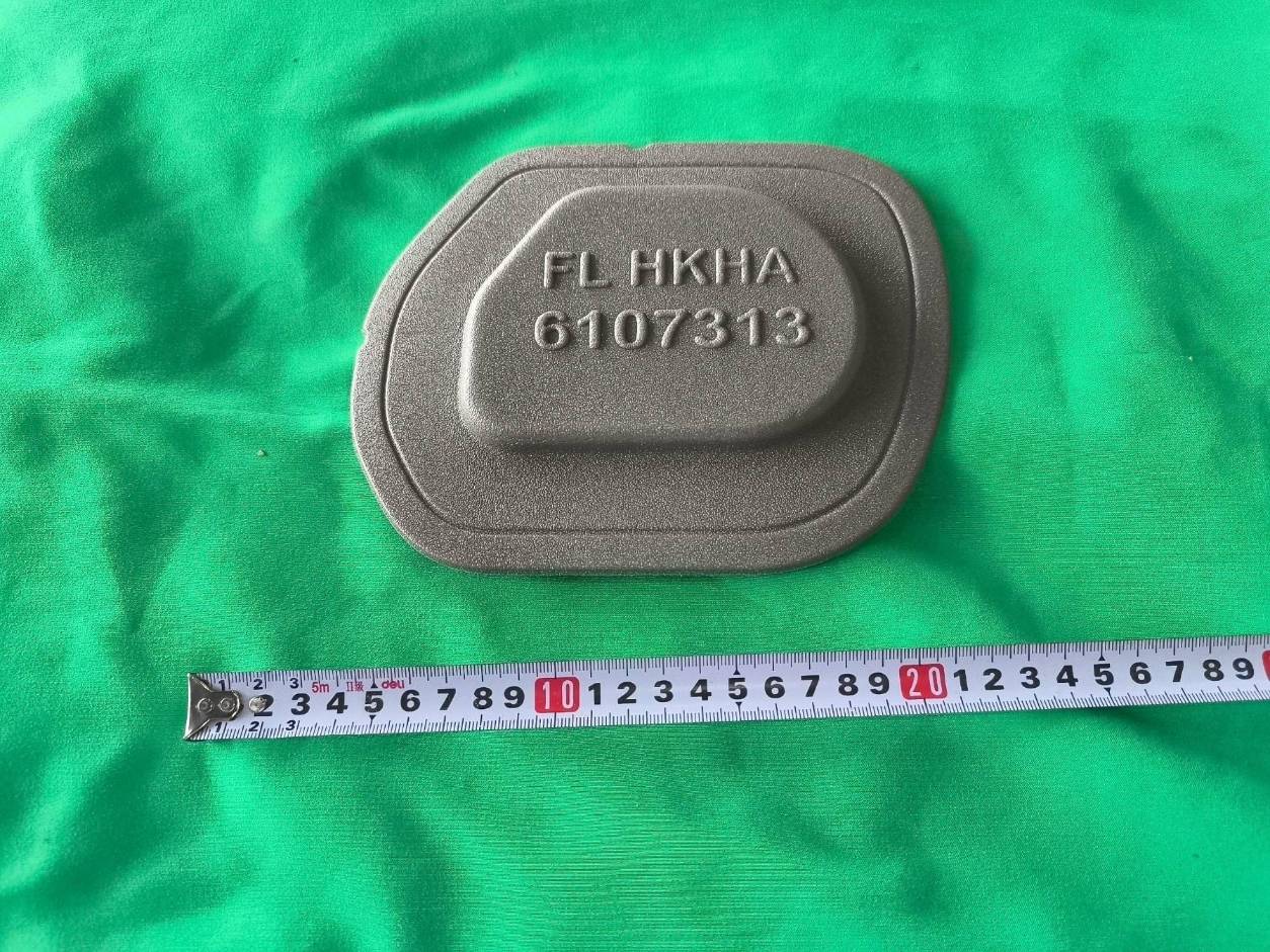 Left front door seal plug II